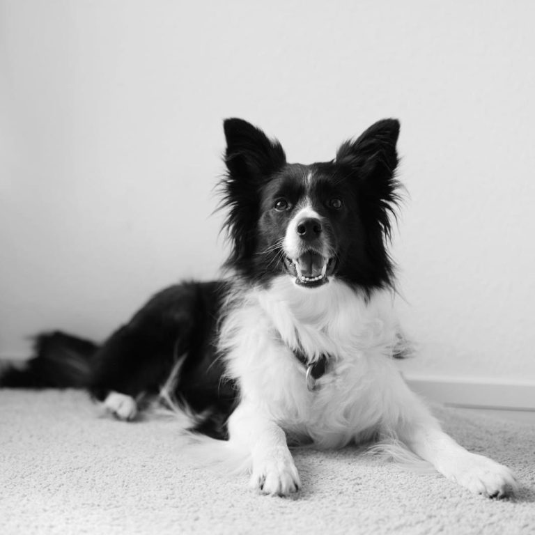 Foto: Sylvia van Heek Fotografie